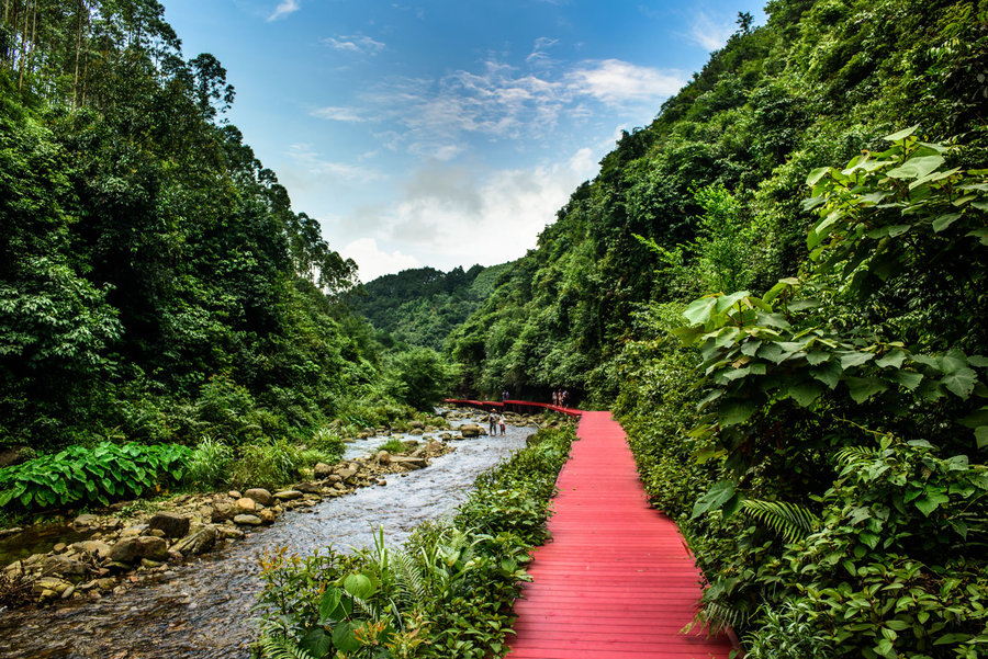 別致的塑木棧道，別致的風(fēng)景